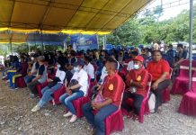 Mahasiswa KKN STIH Tanam Pohon Bersama Gubernur dan Kepala BWS