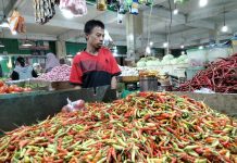 Harga Rica Nona Meroket