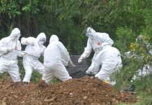 Di Tengah LockDown, Wallis dan Futuna Catat Kematian Pertama Covid-19