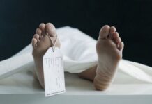 KOMNAS TPNPB Sebut Guru Tertembak di Beoga Mata-Mata TNI