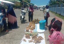 Buah Langsat Warkapi Banjiri Kota Bintuni