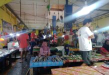 Harga Ikan Di Kota Ternate Melambung Tinggi