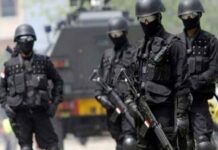 Buru KKB Di Papua, Polri Akan Libatkan Densus 88 Antiteror