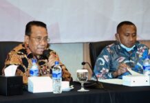 Kondisi Geografis yang Luas, Kepala Daerah di Papua Minta DPR RI Setujui Pembentukan DOB