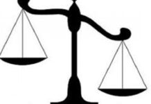 Kasus Illegal Logging Papua, Pengadilan Makassar Hukum Bos Kayu Walau Mangkir Sidang