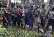 Serahkan Diri ke TNI, 3 Anggota KKB Beberkan Strategi Perang