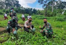 Polres Merauke dan Warga Bangun Ketahanan Pangan di Perbatasan