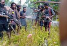 TPNPB-OPM Bakar Bendera Merah Putih di Alguru Nduga Papua