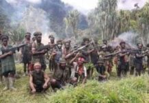 TPNPB-OPM Klaim Tembak Mati Ajudan Bupati Puncak di Ilaga Papua