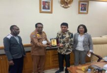 Revisi UU Otsus, DPD RI Dorong Pemprov Papua Miliki Kewenangan di Semua Bidang