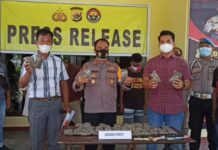 Polres Keerom Amankan Pelaku Pemilik dan Pengedar Ganja