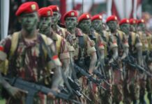 Gelar Simulasi Perang, Prajurit Kopassus Siap Buru KKB di Papua