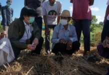 KSP Temui Petani Tembakau NTB yang Mengairi Lahan dengan Es Balok