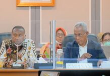 Pansus Otsus Papua Dukung Penguatan Lembaga HAM di Papua