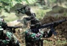 Masa Tugas Satgas Nemangkawi Berakhir; 8 Anggota KKB Ditembak, 7 TNI Gugur