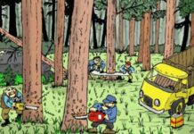 DPC GPM Halteng Soroti Praktek Ilegal Loging Di Hutan Patani