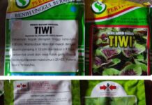 PT. Adidayah Tangguh Berikan Bantuan Bibit Kadaluarsa Kepada Petani Kab. Pultab