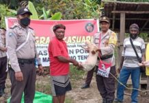 Satgas Binmas Noken Serahkan Sepasang Anak Babi Kepada Kepala Suku Desa Kobakma