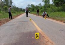 Polisi Olah TKP Kecelakaan Lalu Lintas di Jalan Trans Papua Merauke