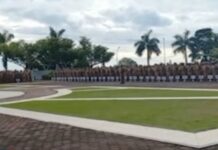 Ratusan Pegawai Honorer Demo Tuntut Diangkat Jadi PNS, Ini Respons Paulus Waterpauw