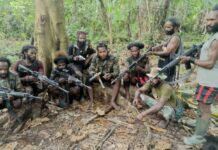 3 Sumber Pasokan Senpi KKB Diungkap Hingga Kapolda Maksimalkan Upaya Ini Bebaskan Pilot Susi Air