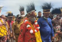 Kunker ke Nabire, Wamendagri Sosialisasi RUU dan Tinjau Kesiapan Provinsi Papua Tengah