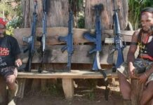 TPNPB Perintahkan Tembak Mati Siapapun yang Pasang Jaringan Telekomunikasi di Papua