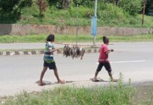 Dua Anak Usia Sekolah di Bintuni Ini Keliling Jual Ikan Cukupi Kebutuhan Sehari-hari
