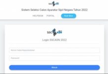 Simak Cara Cek Formasi PPPK 2022, Posisi Apa Saja yang Masih Dibuka