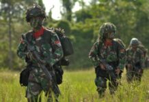 Eskalasi KKB Meningkat, Ini Kata Panglima TNI Yudo Margono Soal Penambahan Pasukan