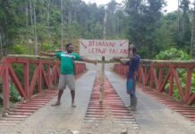 Deforestasi Ancam Eksistensi Masyarakat Adat, Pemerintah Diminta Komitmen Lindungi Hutan Papua