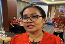 Hidupkan Kembali Festival Cross Border PLBN, Giatkan Ekonomi Perbatasan Papua