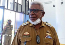 Terus Bergulir, Kajati Surati Mendagri Usulkan Pemberhentian Plt Kepala Daerah di Papua