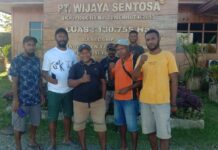 Harga Kayu di Pasar Ekspor Memburuk, Masyarakat Adat Pemilik Hak Ulayat di Bintuni Merugi