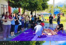 Dr. Filep dan Dr. Yohana Kurban 1 Ekor Sapi bagi Keluarga STIH Manokwari