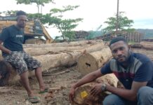 Masyarakat Kuri Merasa Merugi dan Kecewa Masuknya Investasi Tak Perhatikan Kesejahteraan Masyarakat