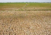 Dampak El Nino Suhu di Papua Mulai Naik, BMKG Ungkap Sejumlah Wilayah yang Terdampak