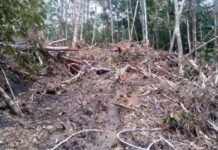 Tuntut Kerusakan di Areal Gunung Nabi, Suku Kuri Minta Pemerintah Fasilitasi Pertemuan dengan PT Wukira Sari