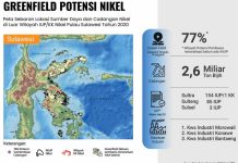 Potensi Menjanjikan Termasuk di Papua-Papua Barat, ESDM: Nikel RI Bakal Laris Manis Pikat Investor