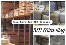 LSM Kane Malut Yakin Bakal Beberkan Oknum ASN Terlibat Bisnis Ilegal