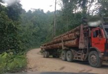 Sikapi Rencana Pembukaan Areal Hutan PT. WS, Miryam Waney Desak MRPB Surati Perusahaan untuk Tinjau MoU