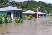 Maikel Werbete: Banjir Kampung Wagen Akibat Berkurangnya Areal Hutan Primer dan Sekunder, IPHHK Harus Dievaluasi