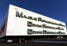 Ini Putra-Putri Asli Papua yang Duduki Jabatan Pimpinan pada Alat Kelengkapan DPD RI