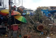 Empat Hari Ditebang Sampah Dari Pohon Di Terminal Bastiong Belum Diangkut