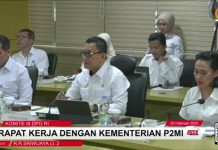 Raker dengan Komite III DPD RI, Kementerian P2MI Targetkan Kirim 425 Ribu PMI di 2025 dan Peningkatan Kualifikasi Medium-High Skilled