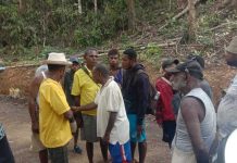 Maikel Werbete: Masyarakat Keluhkan Dampak Penebangan Hutan, Minta Gubernur Tinjau Kerusakan Hutan di Tanah Adat Kuri