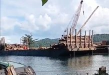 PT. Wijaya Sentosa Muat Ribuan Kayu Merbau, Warga Keluhkan Hal Ini