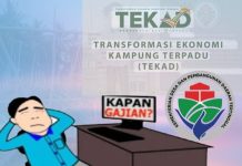 Administrasi Lengkap tapi Gaji Tak Cair, Fasilitator TEKAD Halsel Menduga Ada Unsur Kesengajaan