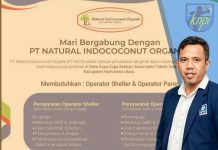 Beli Lewat Pihak ke-Tiga, KNPI Malut Soroti Sistem Pembelian Kelapa Buah PT NICO Tobelo