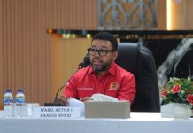 Kritik Diplomasi RI, Wakil Ketua Pansus Papua DPD RI: Jangan Melihat Papua dengan Kacamata Kuda